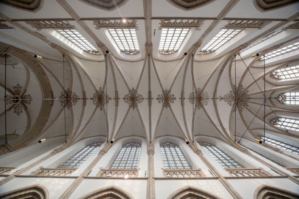 Activity image Reconnect