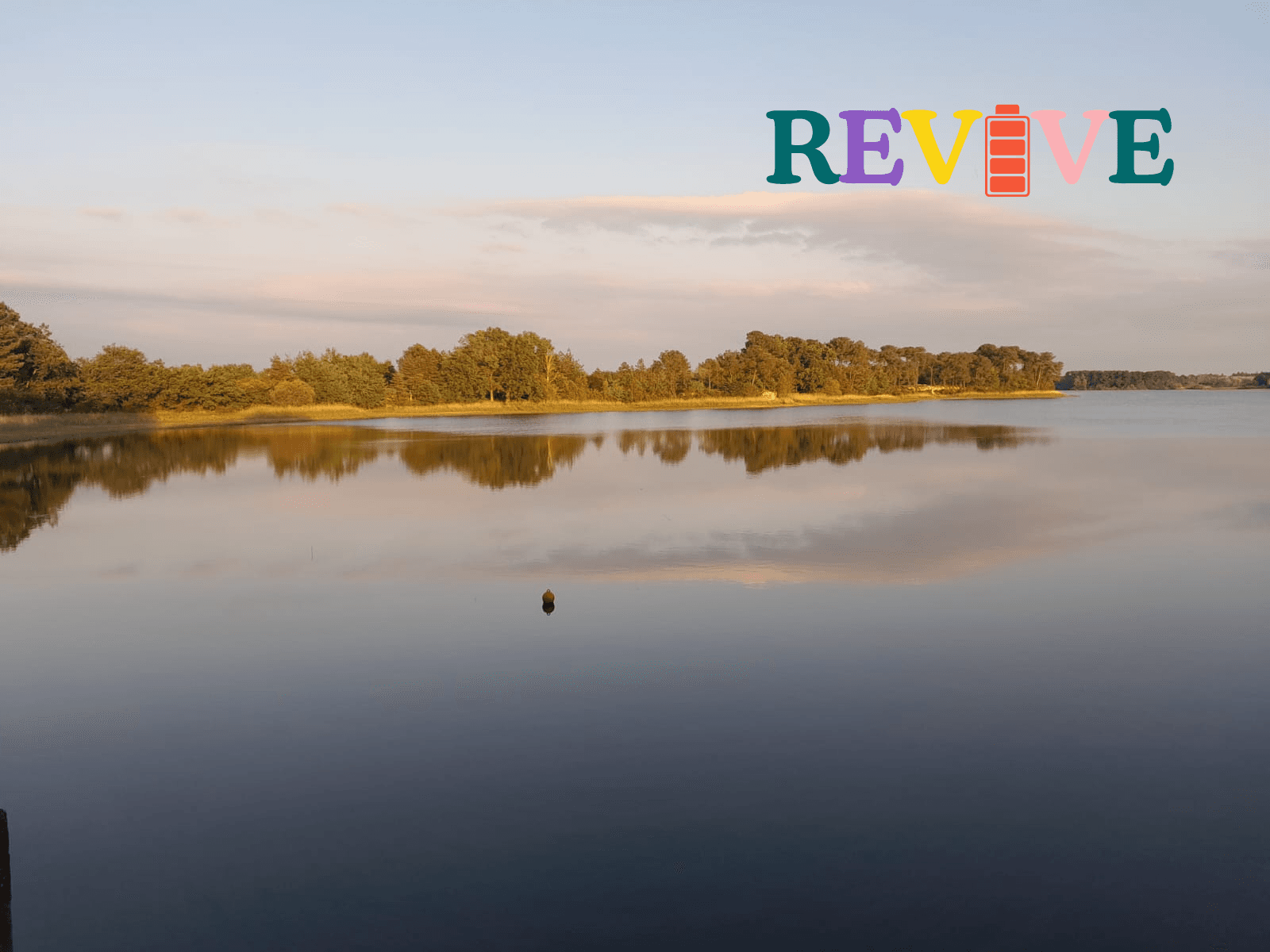 header image [object Object]
