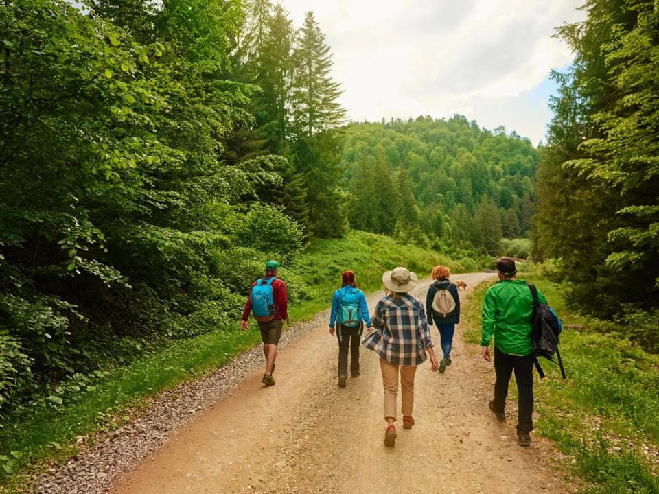 Activity image Natuurwandeling met imker Lennart